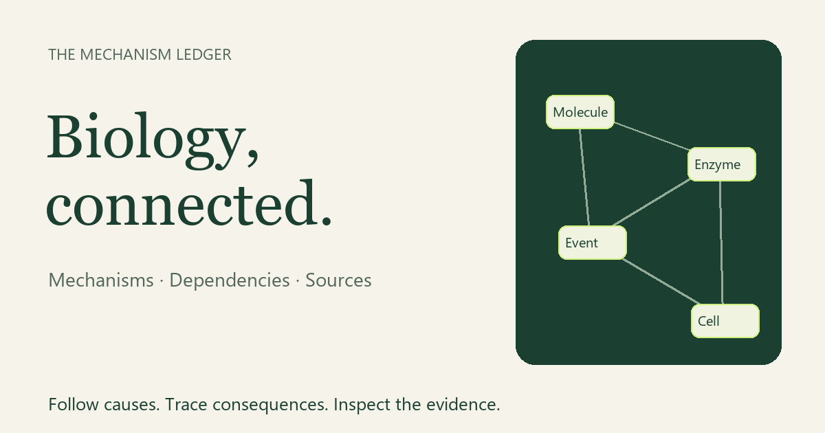 The Mechanism Ledger: biology connected through molecules, enzymes, events and cells.